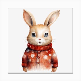 Rabbit In A Sweater Canvas Print