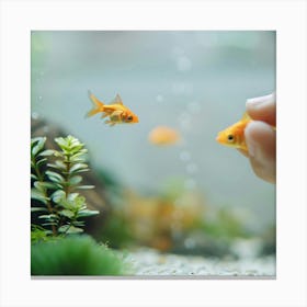 Goldfish and Finger Canvas Print