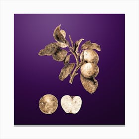 Gold Botanical Pupina Apple on Royal Purple Canvas Print