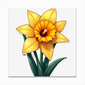 Daffodil Canvas Print