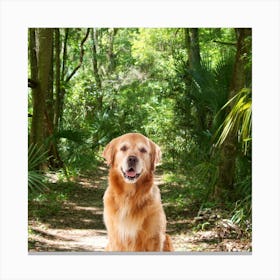 Blonde dog Canvas Print
