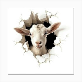 Goat Through A Hole 2 Canvas Print