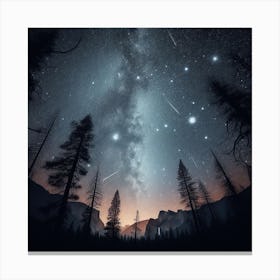 Yosemite Night Sky Canvas Print