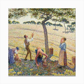 Apple Orchard Canvas Print