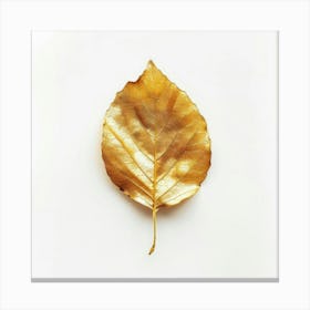 Golden Leaf On White Background Canvas Print