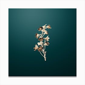 Gold Botanical Shewy Delphinium Flower on Dark Teal n.4932 Canvas Print