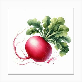 Radish Canvas Print