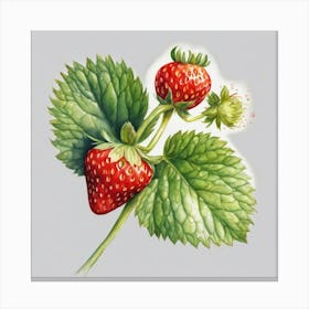 Strawberry Canvas Print