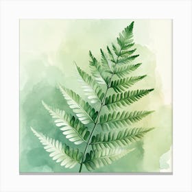 Watercolor Fern Leaf 2 Canvas Print