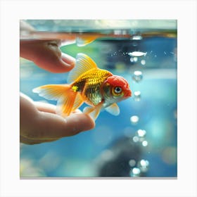 Goldfish In Water Canvas Print