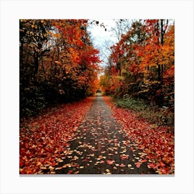 A Crisp American Autumn Scene Unfolds Embodying The Quiet Beauty Of A Fall Nature Trail Transitioni (6) 1 Canvas Print