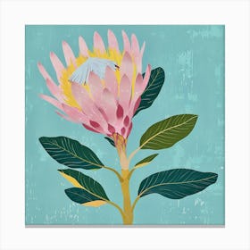 Protea 1 Square Flower Illustration Canvas Print