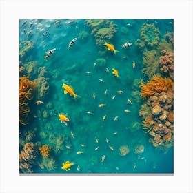 Fishes In The Sea 5 Canvas Print