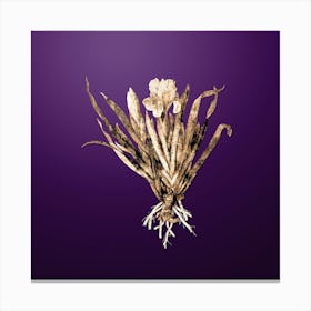 Gold Botanical Crimean Iris on Royal Purple n.2734 Canvas Print