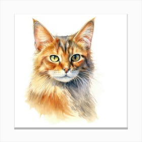 Somali Cat Portrait 2 Canvas Print
