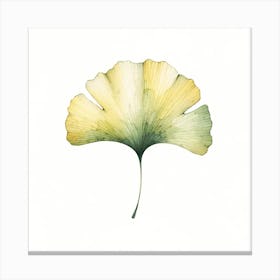 Ginkgo Leaf Canvas Print Canvas Print