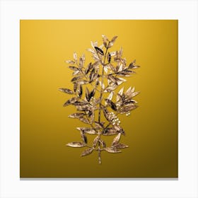 Gold Botanical Phillyrea Tree Branch on Mango Yellow n.0326 Canvas Print