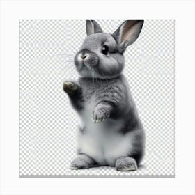 Cute Bunny 6 Canvas Print