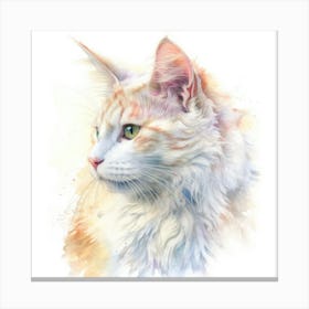 Kashmir Cat Portrait Canvas Print