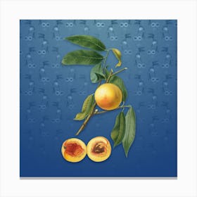 Vintage Peach Botanical on Bahama Blue Pattern n.0352 Canvas Print