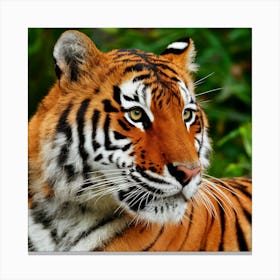 Tiger 4 Canvas Print