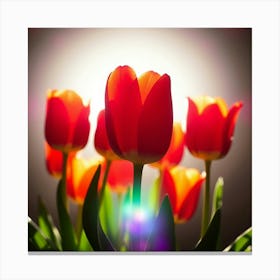 Tulips In The Sun Canvas Print