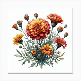 Flower of African marigold Canvas Print