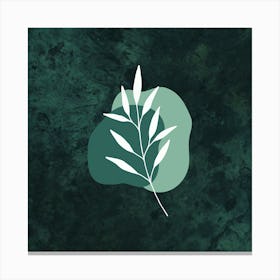 Leaf On A Green Background Canvas Print