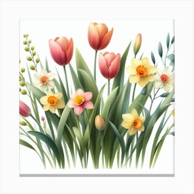 Tulips and Daffodils 2 Canvas Print