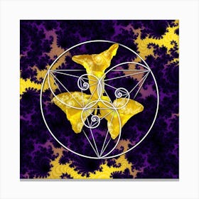 Sacred Geometory 3 Canvas Print