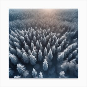 Aerial View Of Snowy Forest 19 Canvas Print