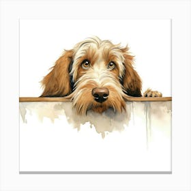 Spinone Italiano Dog Canvas Print