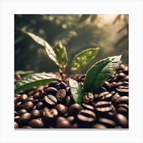 Coffee Beans 50 Canvas Print