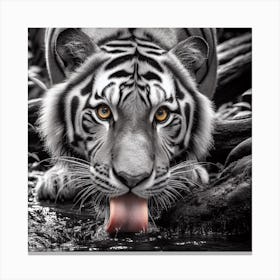 White Tiger 5 Canvas Print