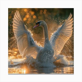 Swan Splashing Canvas Print