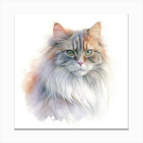 Australian Mist Longhair Cat Portrait Canvas Print