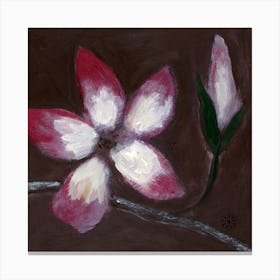 Peach Blossom Canvas Print