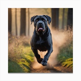 Cane Corso Running In The Woods Canvas Print
