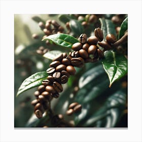 Coffee Beans On A Tree 66 Canvas Print