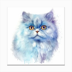 Blue Persian Cat Portrait 3 Leinwandbild