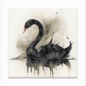 Black Swan 5 Canvas Print