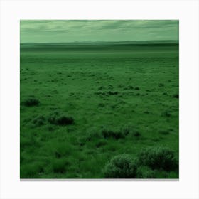 Green Vast Nothingness Canvas Print