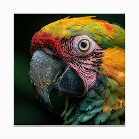 Colorful Parrot 30 Canvas Print