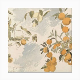 Fruit 19 Canvas Print