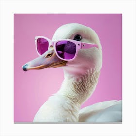 Duck In Sunglasses Canvas Print