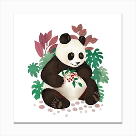 Panda Square Canvas Print