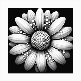 Black and white daisy Canvas Print