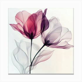 Pastel X Ray Icm Flowers 16 1 Canvas Print