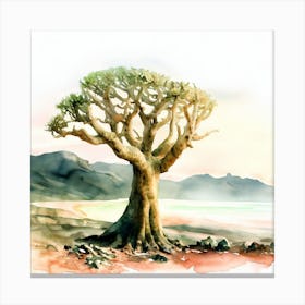 Watercolor Of A Baobab Tree, socotra Canvas Print