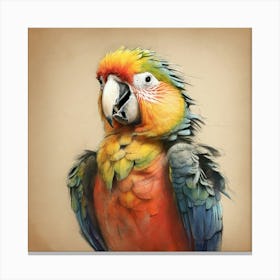 Parrot 43 Canvas Print